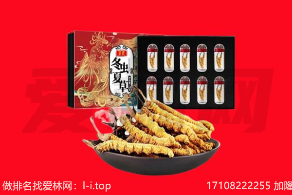 日照回收虫草.jpg